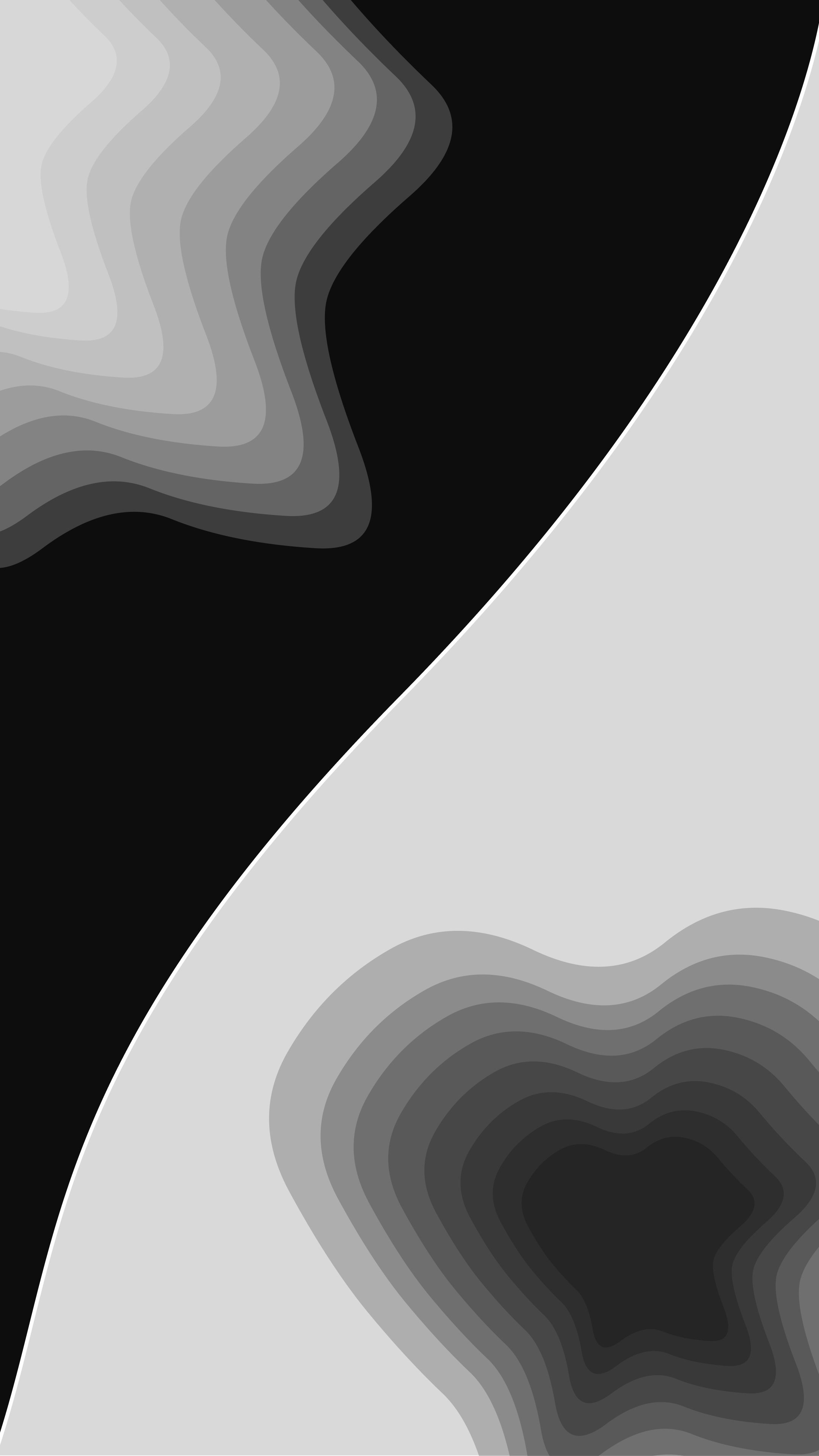Black and White Topography edited.png